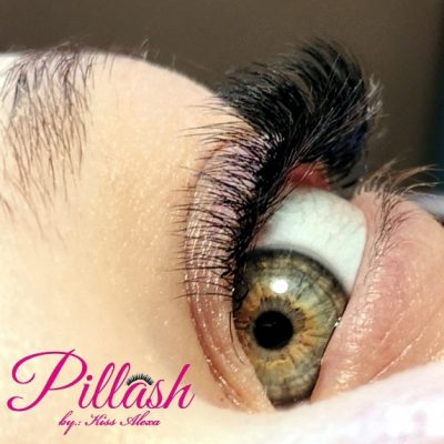 Pillashbykissalexa